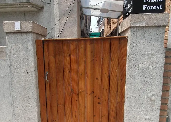 홍대입구역 도보 7분#많은친구#4br#7bed#2bath#urban Forest *